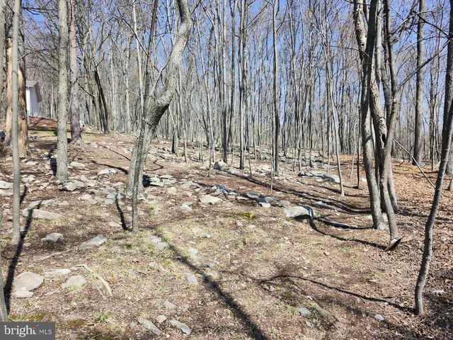 566 WILD APPLE LN, Paw Paw, WV 25434