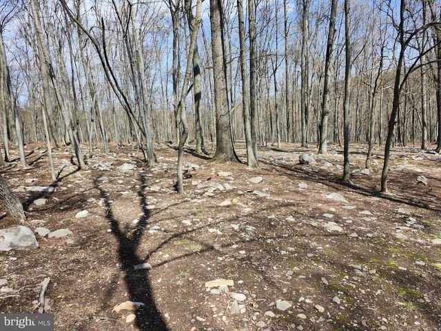 566 WILD APPLE LN, Paw Paw, WV 25434