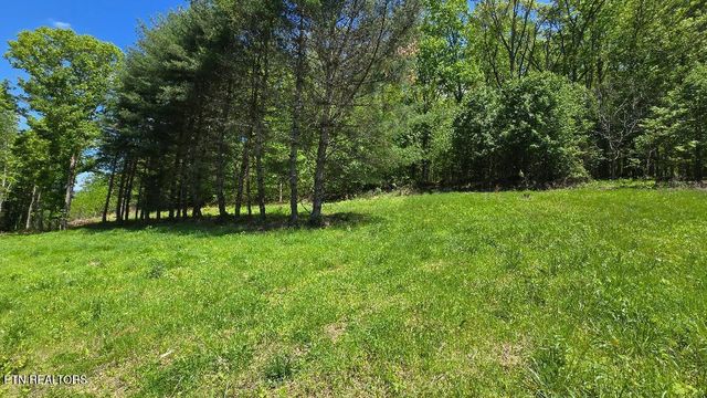 Dooley Hollow Rd, Ewing, VA 24248