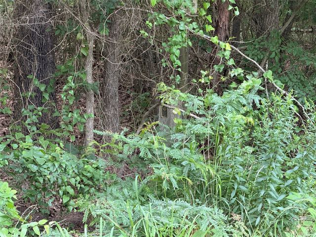 15 Acres County Road 2324, Como, TX 75431