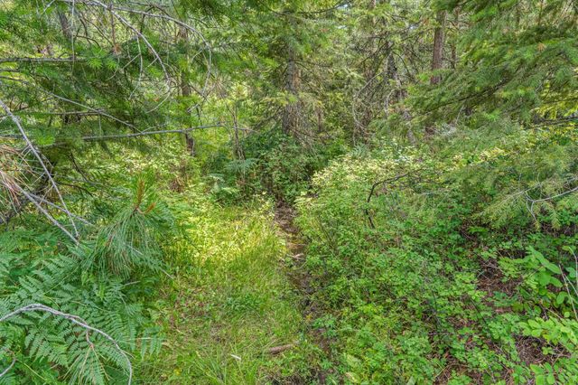 NKA E Belmont Rd, Mica, WA 99023