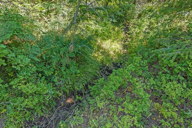 NKA E Belmont Rd, Mica, WA 99023