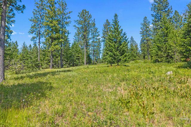 NKA E Belmont Rd, Mica, WA 99023