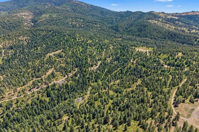 NKA E Belmont Rd, Mica, WA 99023