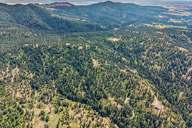 NKA E Belmont Rd, Mica, WA 99023