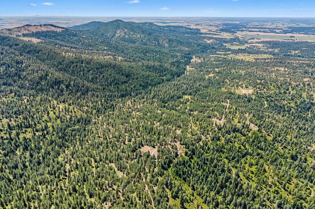 NKA E Belmont Rd, Mica, WA 99023