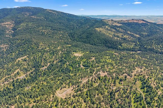 NKA E Belmont Rd, Mica, WA 99023