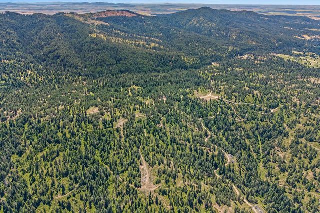 NKA E Belmont Rd, Mica, WA 99023