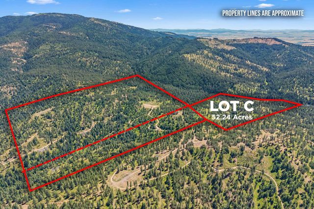 NKA E Belmont Rd, Mica, WA 99023