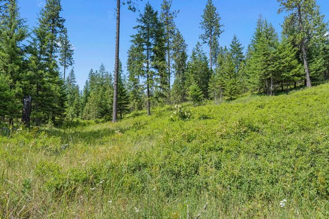 NKA E Belmont Rd, Mica, WA 99023