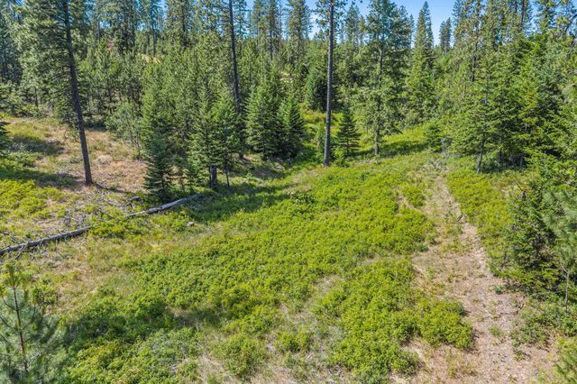 NKA E Belmont Rd, Mica, WA 99023