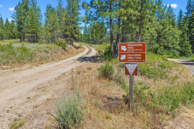 NKA E Belmont Rd, Mica, WA 99023