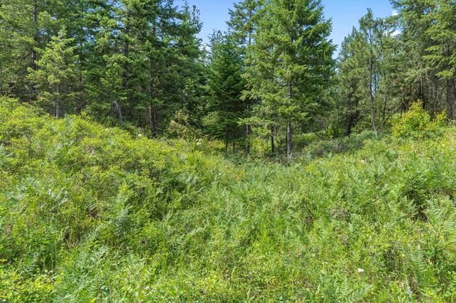 NKA E Belmont Rd, Mica, WA 99023