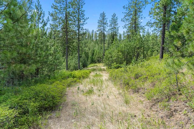 NKA E Belmont Rd, Mica, WA 99023