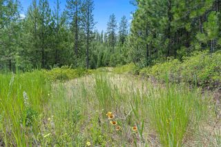 NKA E Belmont Rd, Mica, WA 99023