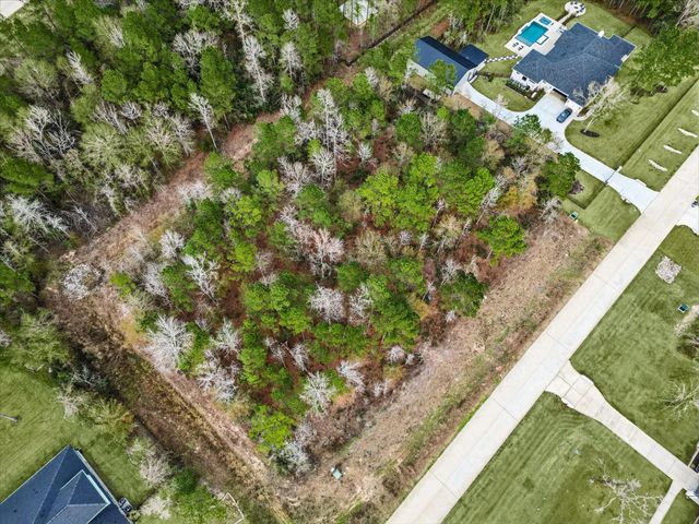 7511 Bingham Drive, Montgomery, TX 77316