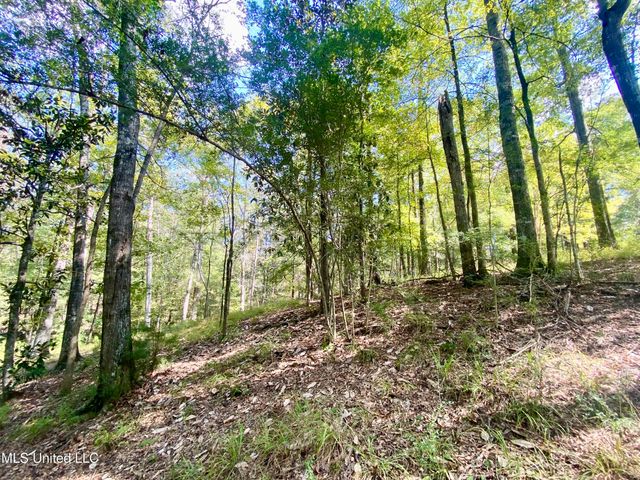 140 Westover Drive, Hazlehurst, MS 39083