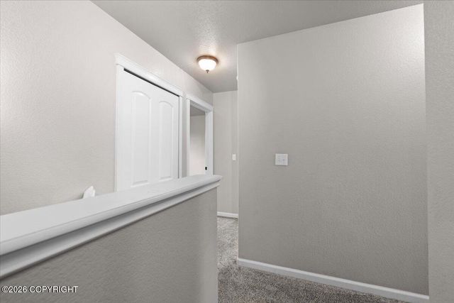 2970 N Terrell Drive, Wasilla, AK 99654