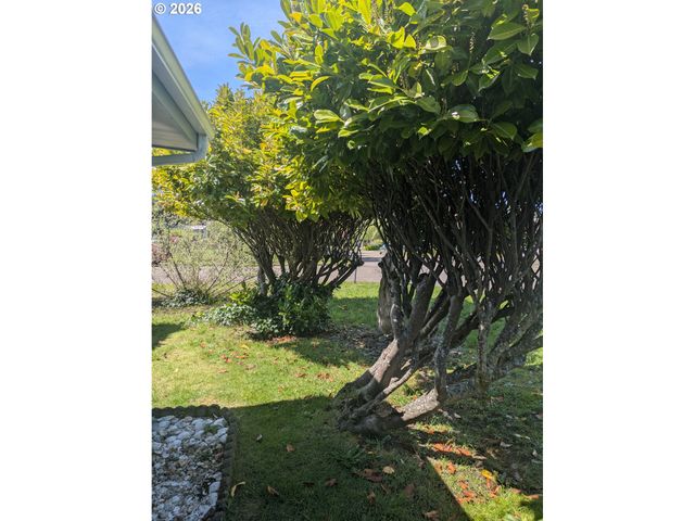 1116 7TH St, Florence, OR 97439