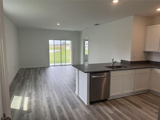 32909 OSPREY PEAK WAY, San Antonio, FL 33576