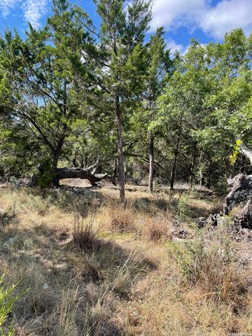 245 Bluebonnet Breeze, Canyon Lake, TX 78133
