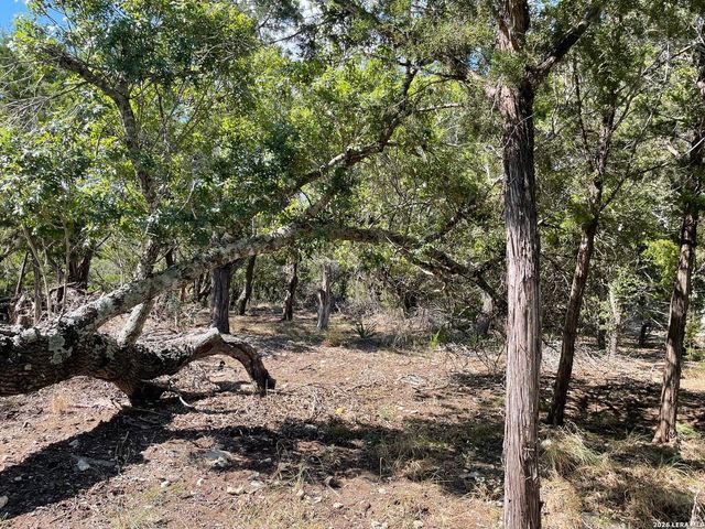 245 Bluebonnet Breeze, Canyon Lake, TX 78133