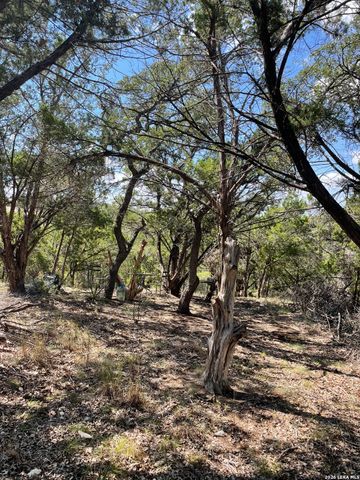 245 Bluebonnet Breeze, Canyon Lake, TX 78133