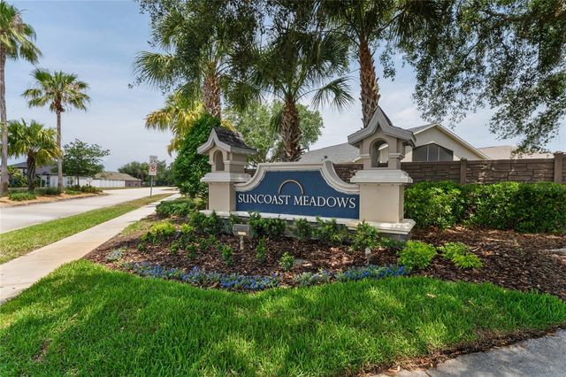 3533 CARDINAL FEATHER DRIVE, Land O Lakes, FL 34638