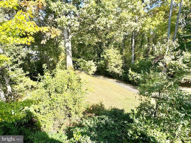 13202 MOUNTAIN ASH CT, Woodbridge, VA 22192