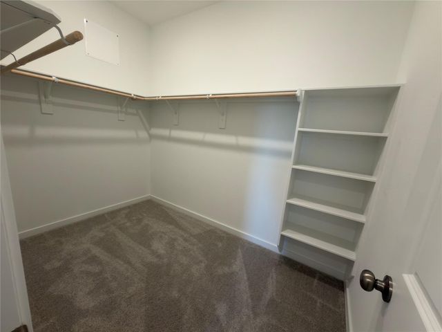 7919 Evening Emerald Drive, Rosharon, TX 77583