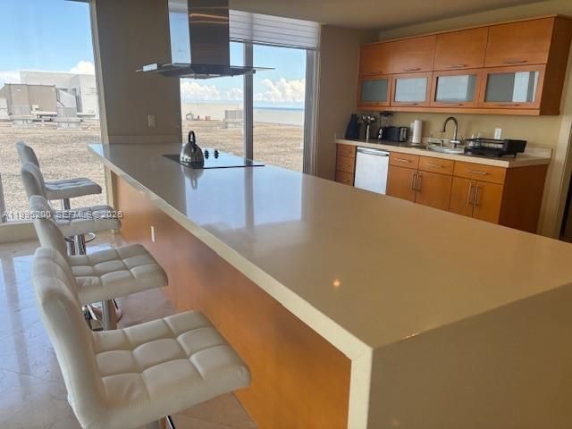 100 Lincoln Rd PH4, Miami Beach, FL 33139