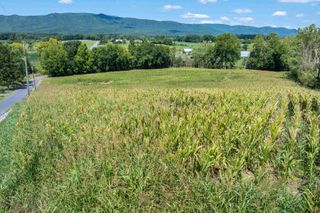 TBD MICHAEL LN, Elkton, VA 22827