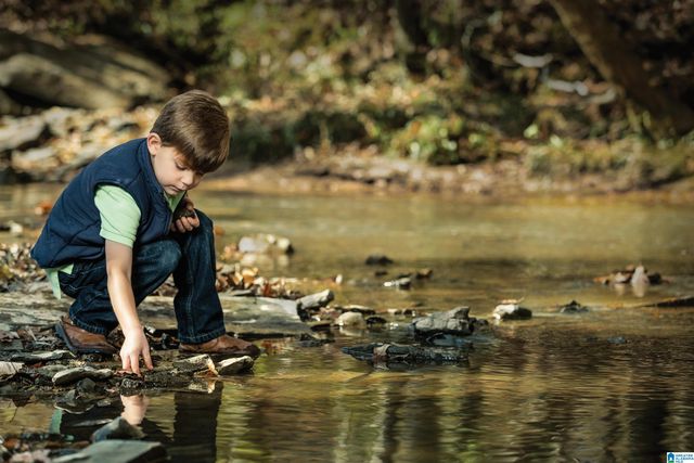 4 BELLERIVE KNOLLS, Birmingham, AL 35242