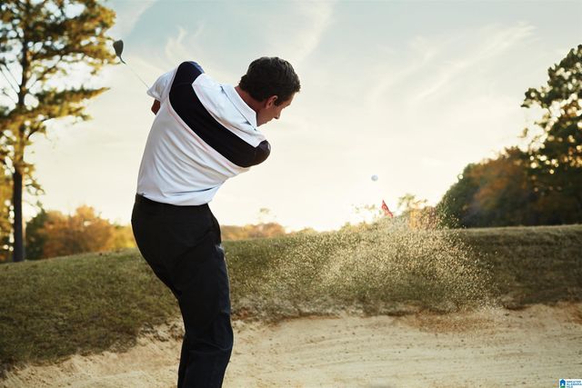 4 BELLERIVE KNOLLS, Birmingham, AL 35242