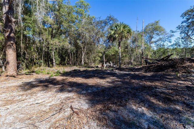 815 NE 145TH AVENUE ROAD, Silver Springs, FL 34488