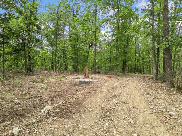 TBD Morgan Cave Road, Harrison, AR 72601