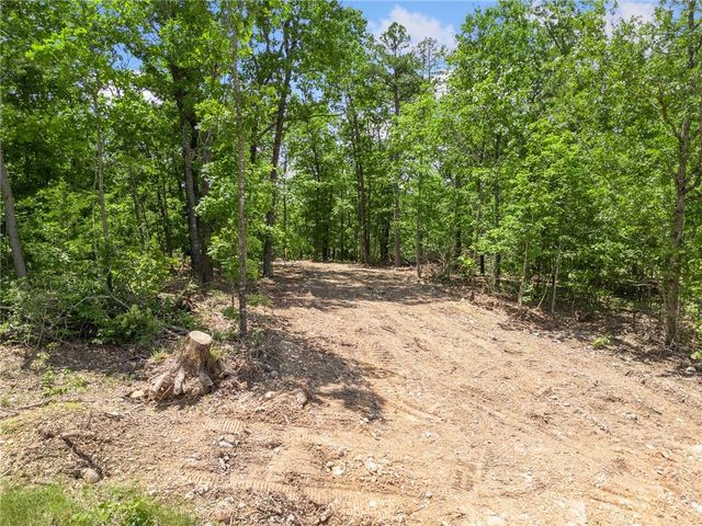 TBD Morgan Cave Road, Harrison, AR 72601