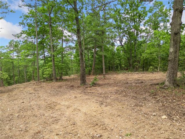 TBD Morgan Cave Road, Harrison, AR 72601