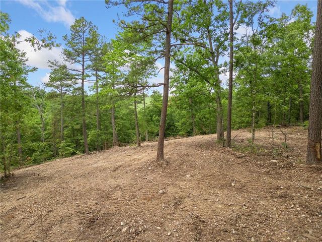 TBD Morgan Cave Road, Harrison, AR 72601