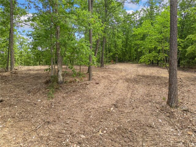 TBD Morgan Cave Road, Harrison, AR 72601
