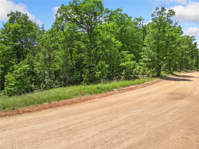 TBD Morgan Cave Road, Harrison, AR 72601