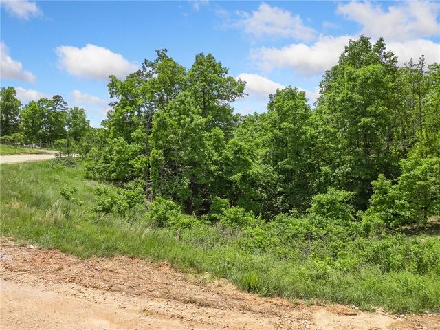 TBD Morgan Cave Road, Harrison, AR 72601