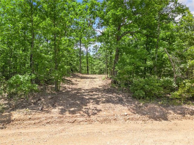 TBD Morgan Cave Road, Harrison, AR 72601
