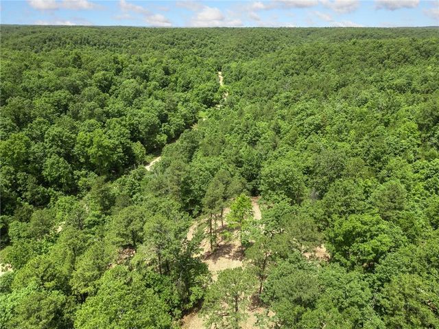 TBD Morgan Cave Road, Harrison, AR 72601
