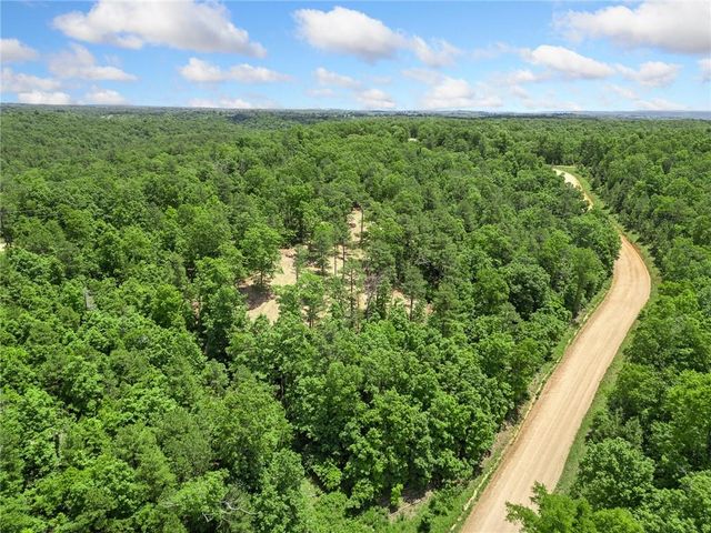 TBD Morgan Cave Road, Harrison, AR 72601