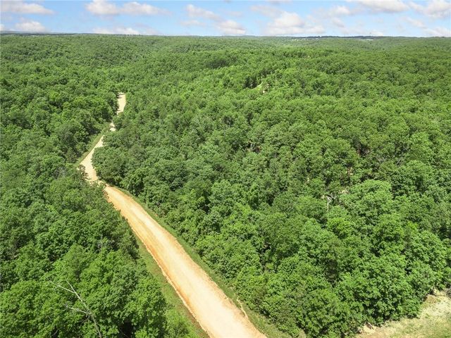 TBD Morgan Cave Road, Harrison, AR 72601