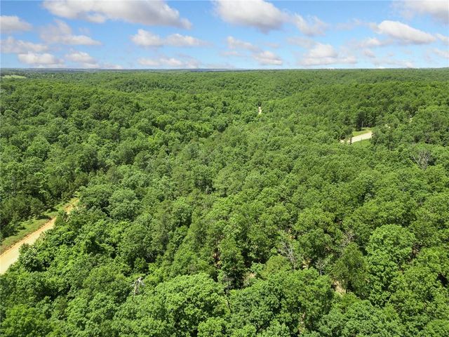 TBD Morgan Cave Road, Harrison, AR 72601