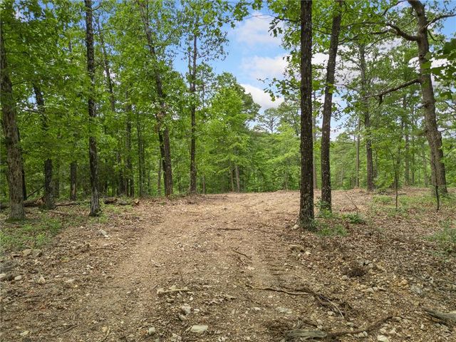 TBD Morgan Cave Road, Harrison, AR 72601