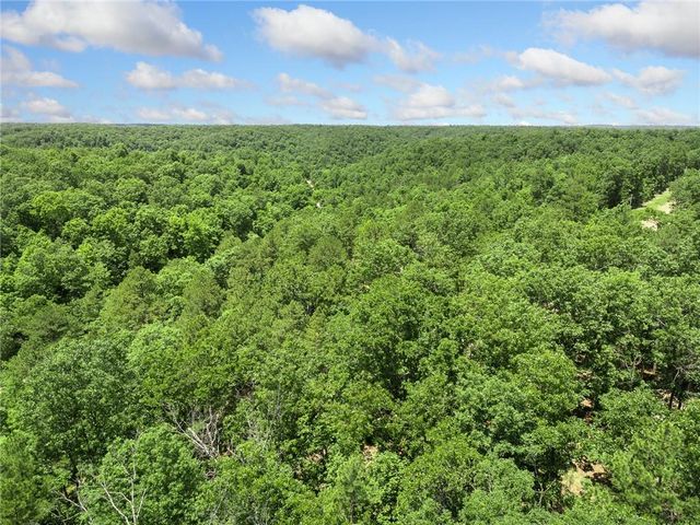 TBD Morgan Cave Road, Harrison, AR 72601