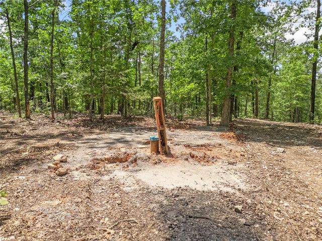 TBD Morgan Cave Road, Harrison, AR 72601